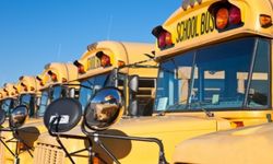 Buses