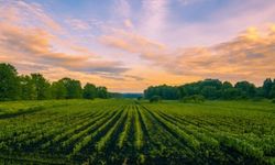 Rural Communities